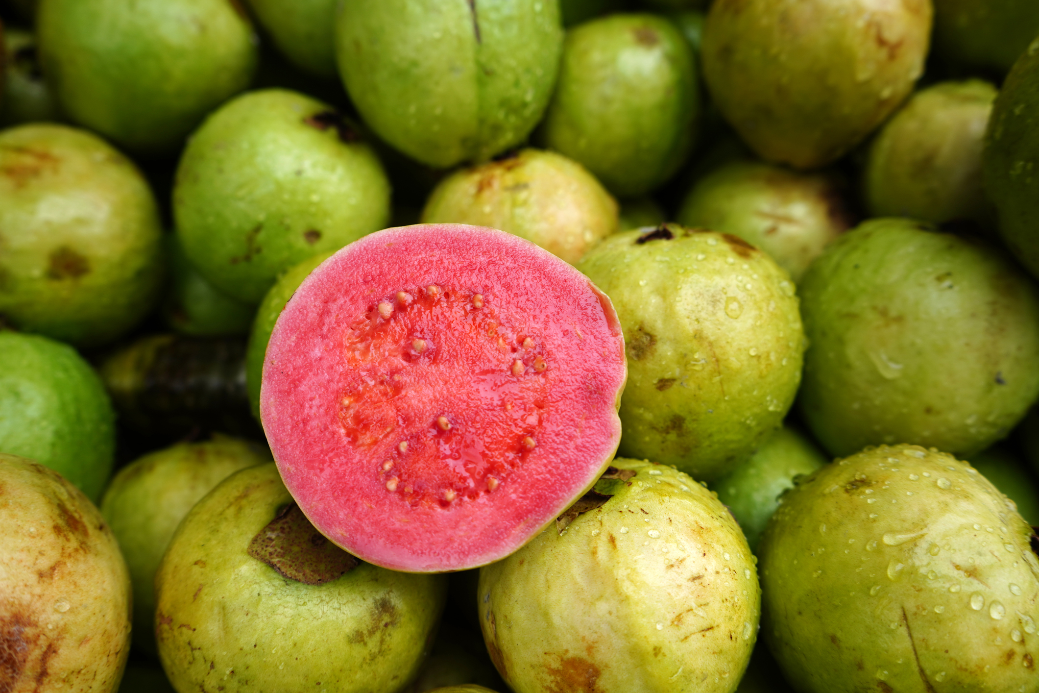 Guáva