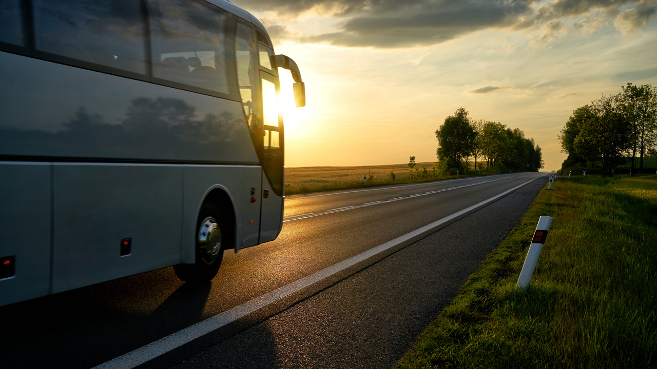 busz