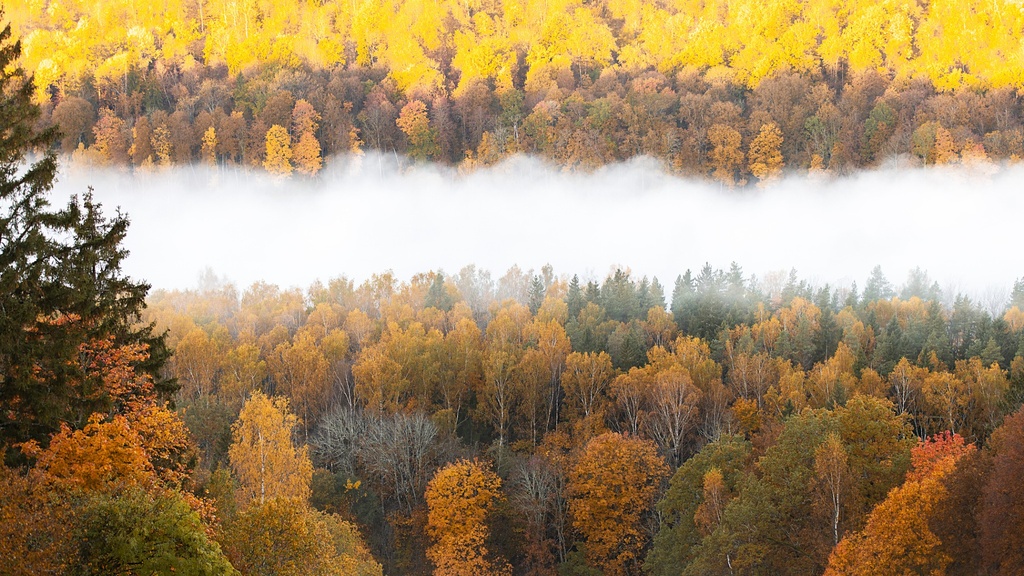Gauja Nemzeti Park ősszel: